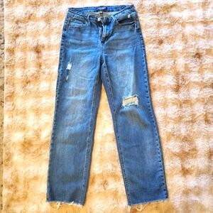 Judy Blue Dad Jean Distressed Straight Leg Jeans, Size 9/29